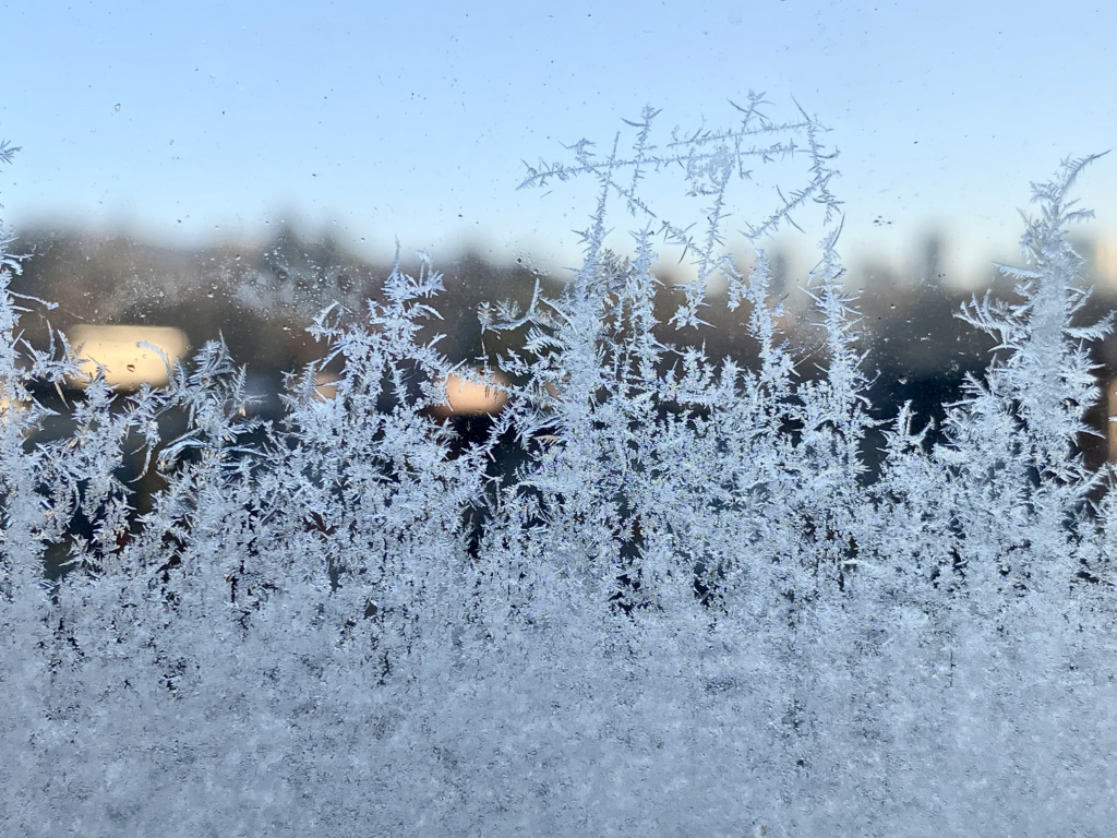 December 4, 2022 Fascinating Frost Patterns