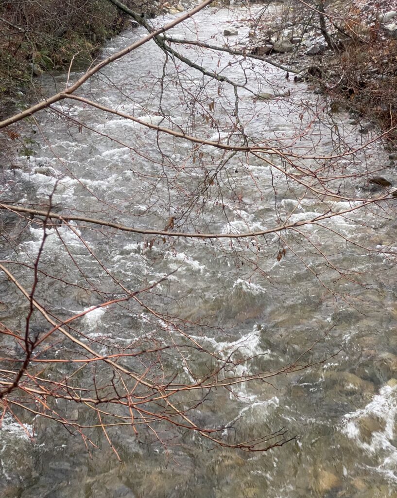 January 16, 2023 Gushing Winter Creek in the Rain