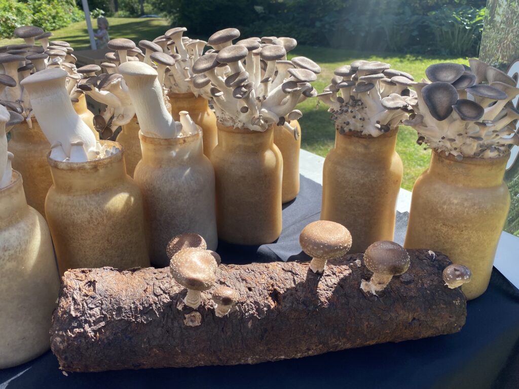 Vancouver Mycological Society presents: Spring Mushroom Show